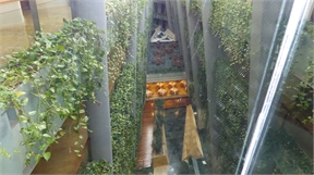 P1010250
