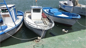 P1010264