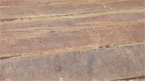 P1050234