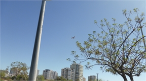P1050260