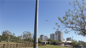 P1050261