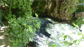 P1050279