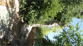 P1050283