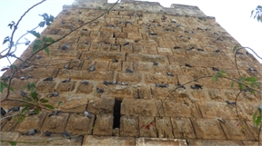 P1050292