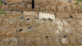 P1050293