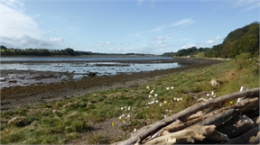P1040856