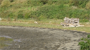 P1040876