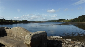 P1040878