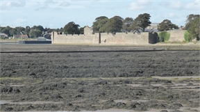 P1040974