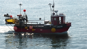 P1040978