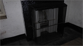 P1050007