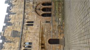 P1050018
