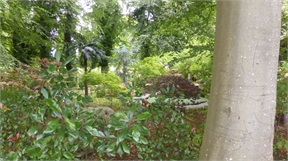 P1050115