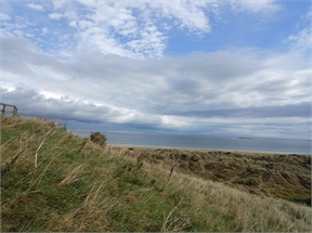 IMG_20230911_094213_390