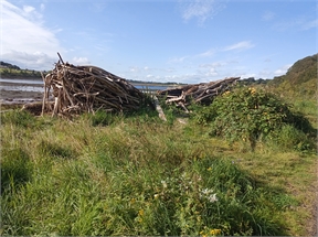 IMG_20230912_105012_019