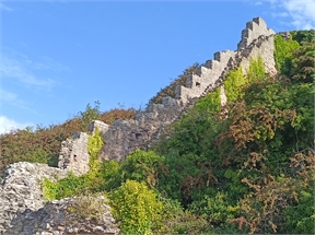 IMG_20230912_110344_064
