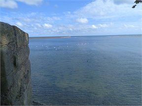 IMG_20230912_141648_547