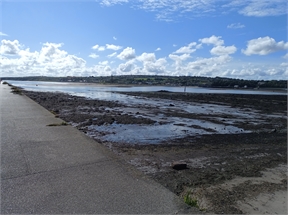 IMG_20230913_113908_491