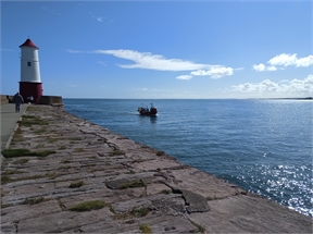 IMG_20230913_115236_308