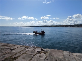 IMG_20230913_115251_942