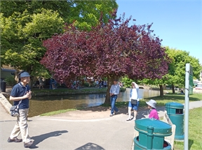 IMG_20240718_110849_546