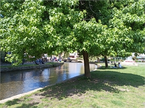 IMG_20240718_110905_315