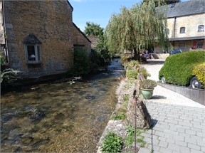 IMG_20240718_111119_816