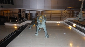 P1010778