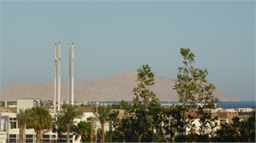 P1010938