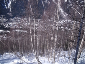 DSCF4022