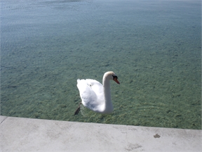 DSCF4082