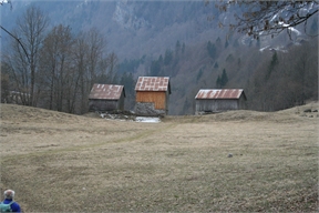 IMG_6394