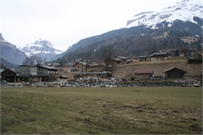 IMG_6401