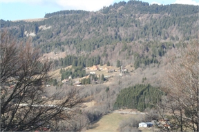 IMG_6500
