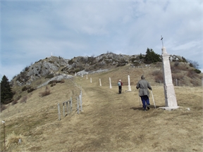 DSCF5447