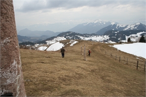 IMG_6619