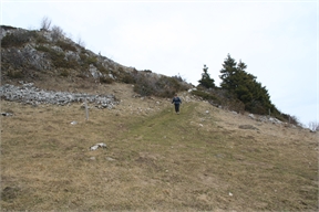 IMG_6620