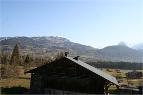 IMG_7394
