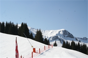 IMG_7490