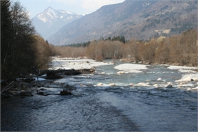 IMG_7525