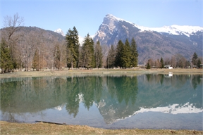 IMG_7535