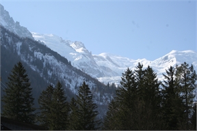 IMG_7572