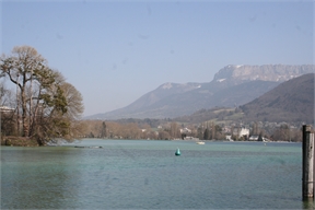 IMG_7845