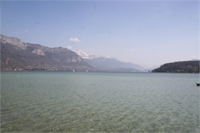 IMG_7941
