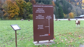 P1020018