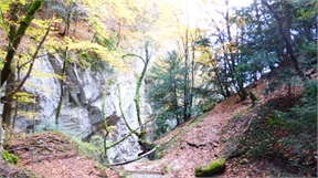 P1020044