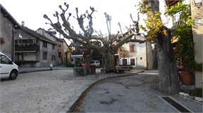 P1020094