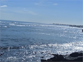 IMG_20230926_104223_522