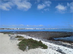 IMG_20230926_104806_585