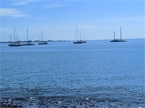 IMG_20230926_112401_115